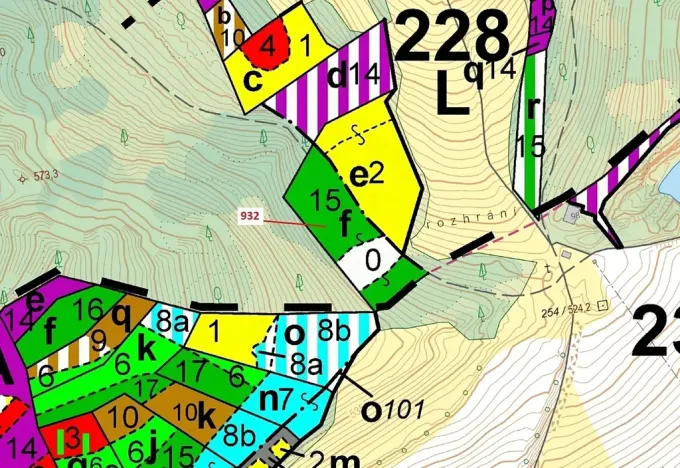 Dražba lesa, Rabí, 7006 m2