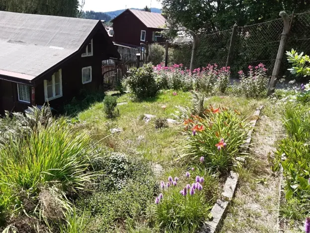 Prodej - jiné, Desná, Sokolská, 18 m2