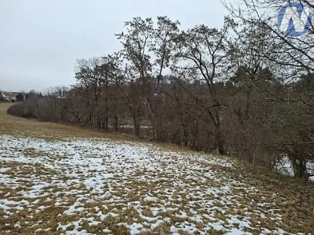 Prodej lesa, Lčovice, 759 m2