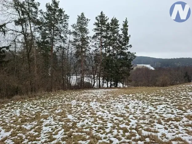 Prodej lesa, Lčovice, 759 m2