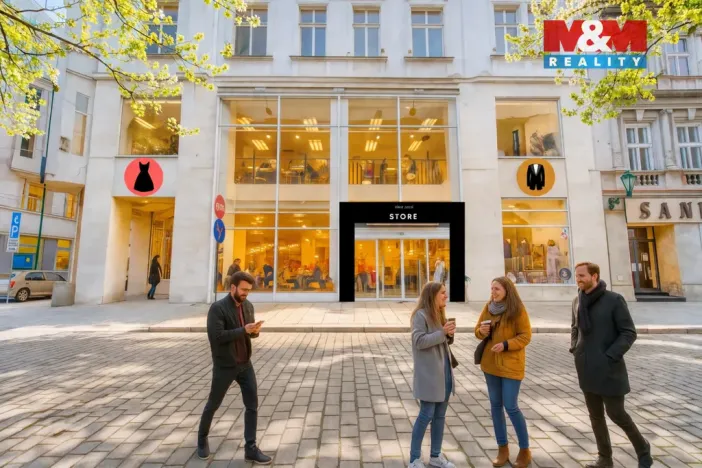 Pronájem obchodního prostoru, Plzeň - Vnitřní Město, Zbrojnická, 598 m2