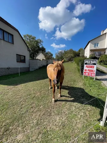 Prodej pozemku pro bydlení, Pašovice, 1279 m2