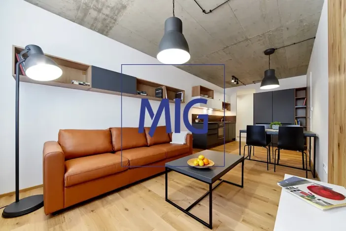 Pronájem bytu 2+kk, Brno, Cejl, 48 m2