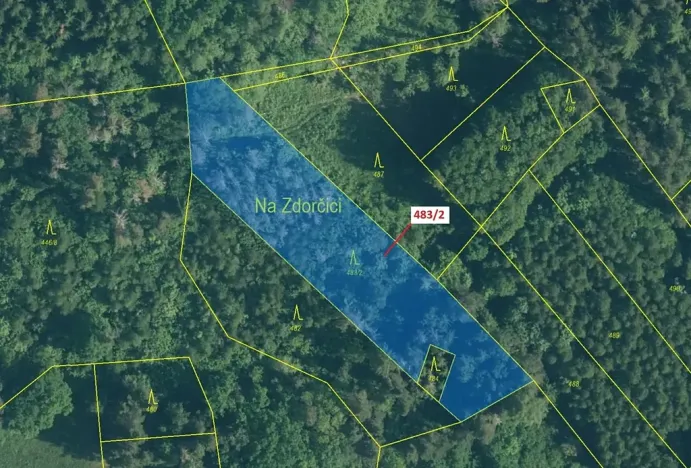 Dražba lesa, Zavlekov, 2895 m2