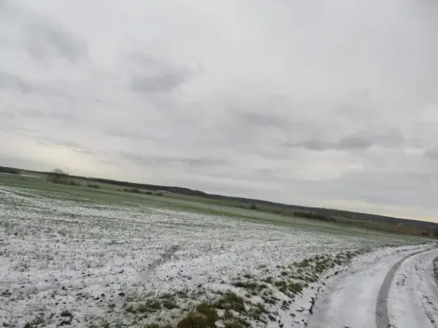 Dražba louky, Chotěšice, 11382 m2