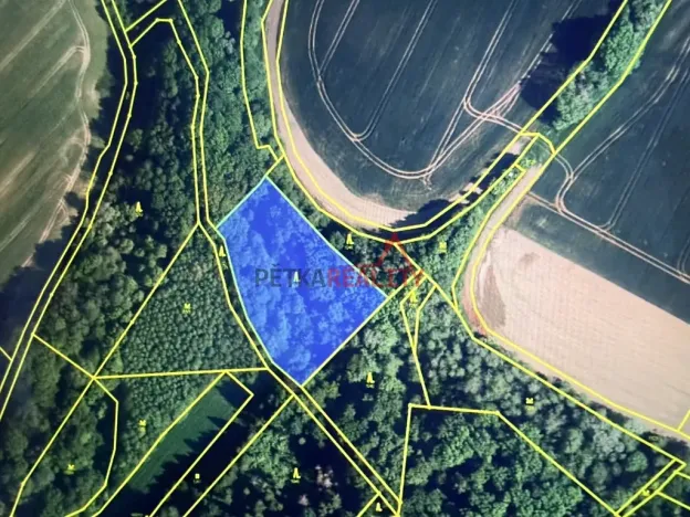 Prodej lesa, Polom, 4700 m2