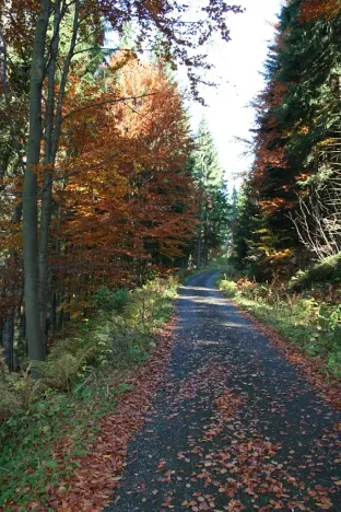 Prodej bytu 3+kk, Černý Důl, 77 m2