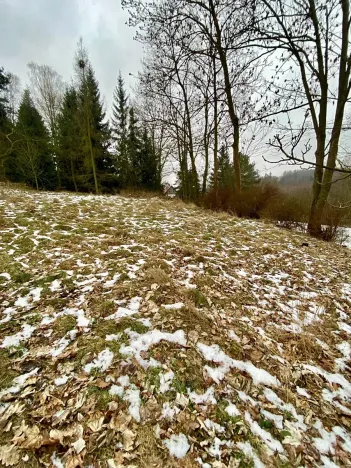 Prodej pozemku pro bydlení, Pertoltice pod Ralskem, 1283 m2
