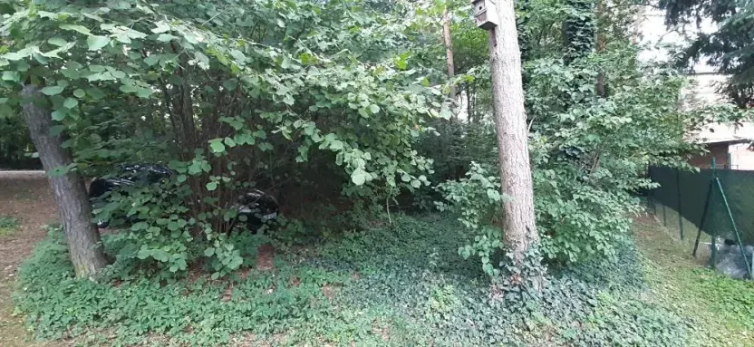 Prodej lesa, Mostkovice, 576 m2