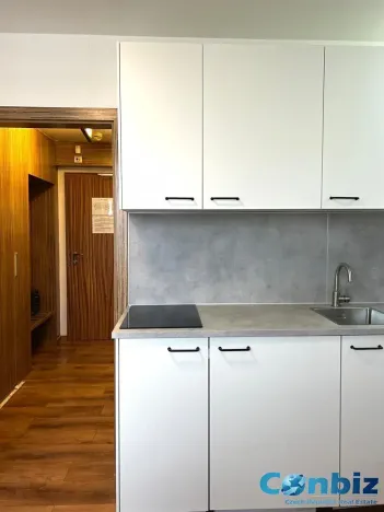 Pronájem bytu 1+kk, Praha - Suchdol, Suchdolské náměstí, 24 m2