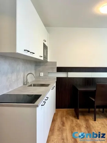 Pronájem bytu 1+kk, Praha - Suchdol, Suchdolské náměstí, 24 m2