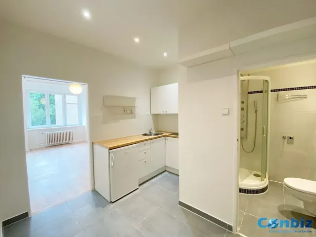 Pronájem bytu 1+1, Praha - Karlín, Peckova, 29 m2