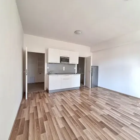 Pronájem bytu 1+kk, Praha - Bubeneč, U zeměpisného ústavu, 26 m2