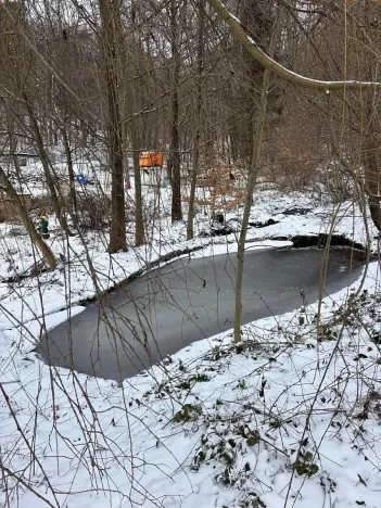 Pronájem rodinného domu, Velký Újezd, Za Obecním lesem, 80 m2