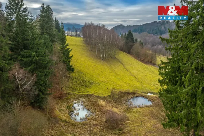 Prodej pozemku pro bydlení, Chřibská - Horní Chřibská, 20128 m2
