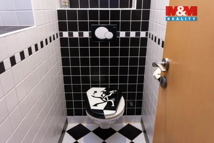 Prodej bytu 4+kk, Opava - Předměstí, Olomoucká, 155 m2