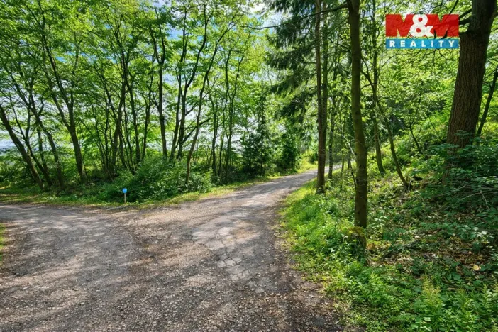 Prodej louky, Šetějovice - Žibřidovice, 541 m2