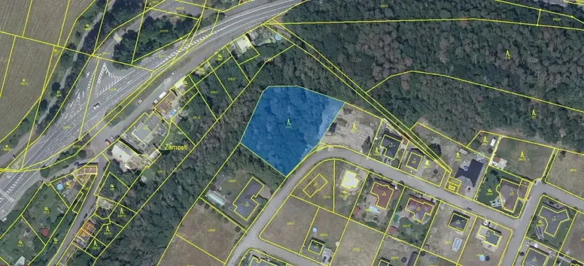 Prodej lesa, Písková Lhota, 3439 m2