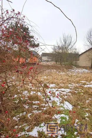 Prodej pozemku pro bydlení, Bílovec, 1056 m2