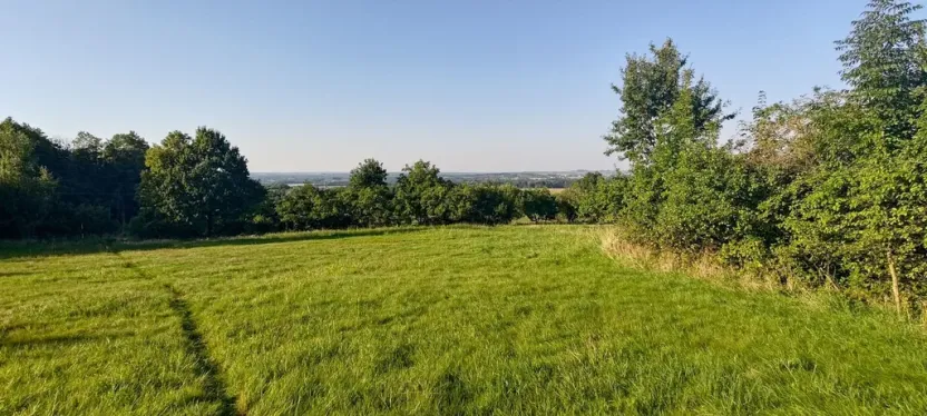 Prodej pozemku, Vyšní Lhoty, 3033 m2