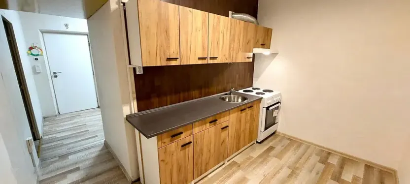 Pronájem bytu 2+1, Bílina, Antonína Sovy, 53 m2