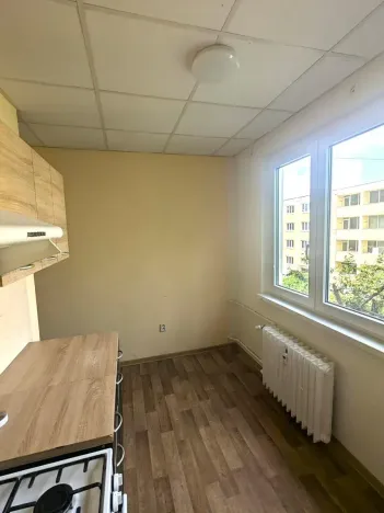 Pronájem bytu 2+1, Bílina, M. Švabinského, 55 m2