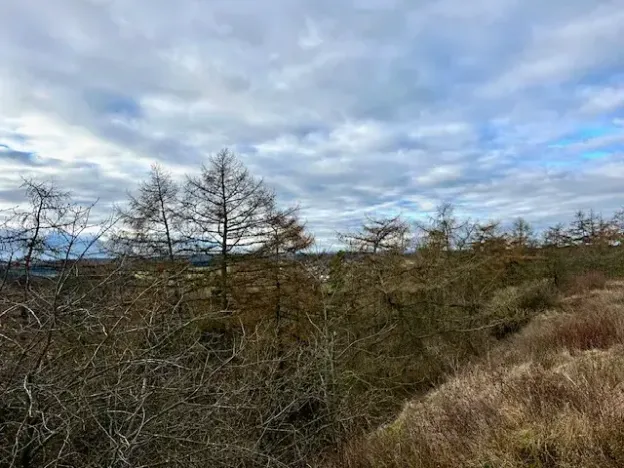 Prodej zahrady, Nové Strašecí, Sukova, 934 m2