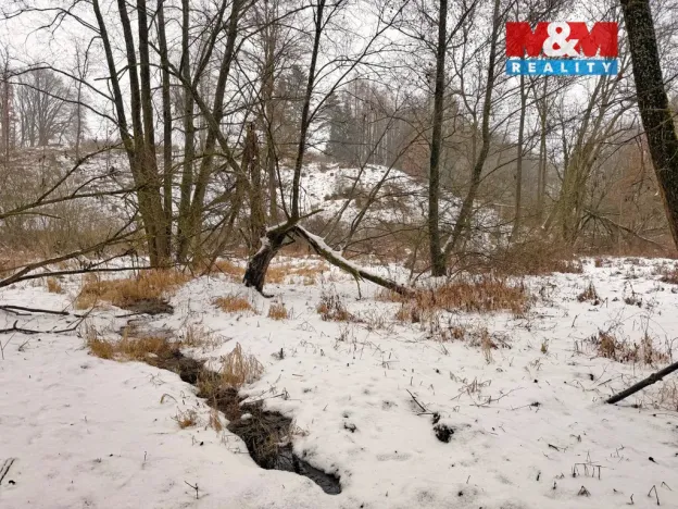 Prodej rybníku, Dolní Hořice - Pořín, 8552 m2