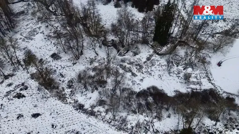 Prodej rybníku, Dolní Hořice - Pořín, 8552 m2