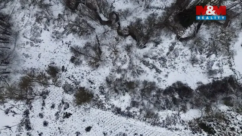 Prodej rybníku, Dolní Hořice - Pořín, 8552 m2