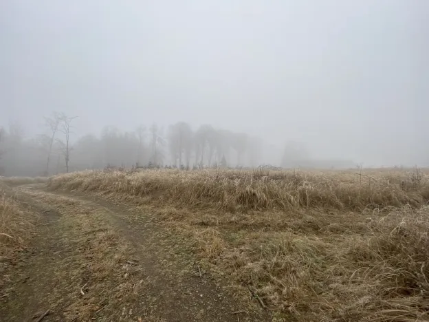 Prodej lesa, Městečko Trnávka - Lázy, 32904 m2