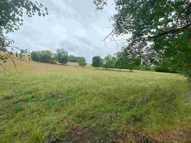 Prodej pozemku, Březová, 1993 m2