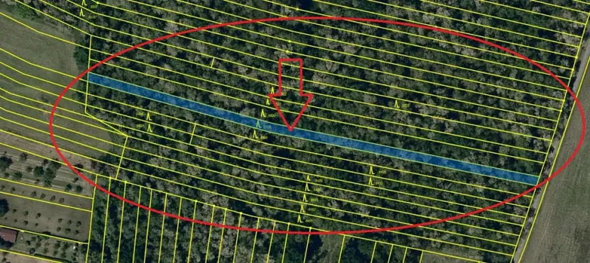Prodej lesa, Mutěnice, 5100 m2
