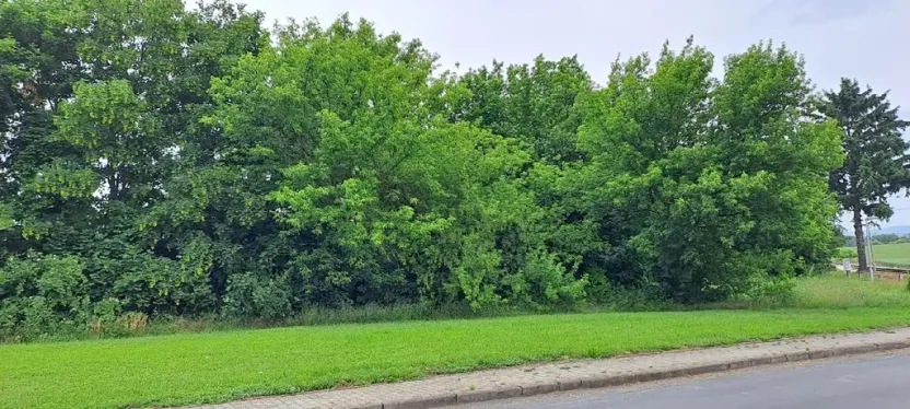 Prodej pozemku pro bydlení, Úpohlavy, 1074 m2