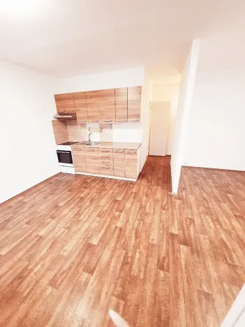 Pronájem bytu 2+kk, Litoměřice, Revoluční, 42 m2