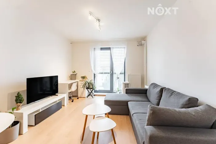 Pronájem bytu 1+kk, Olomouc, Věry Pánkové, 36 m2