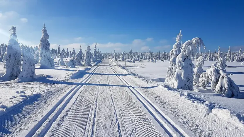Prodej bytu 1+kk, Janov nad Nisou - Hrabětice, 28 m2