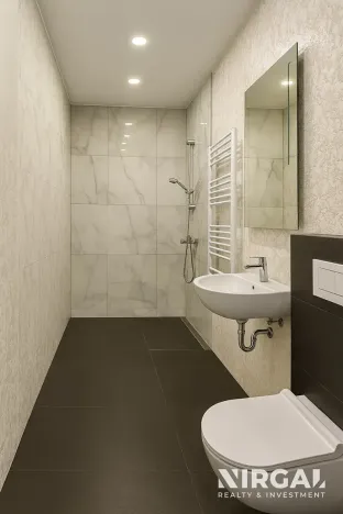 Pronájem bytu 2+kk, Praha - Žižkov, U kněžské louky, 80 m2