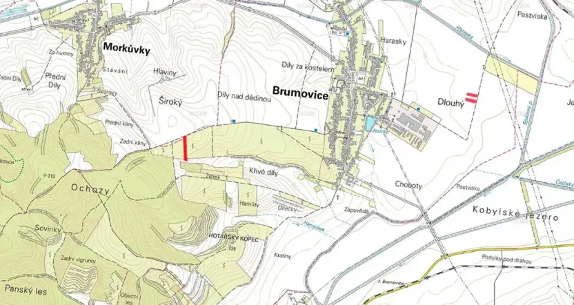 Prodej louky, Brumovice, 9612 m2