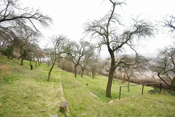 Pronájem bytu 2+kk, Praha - Vinohrady, Jana Masaryka, 60 m2