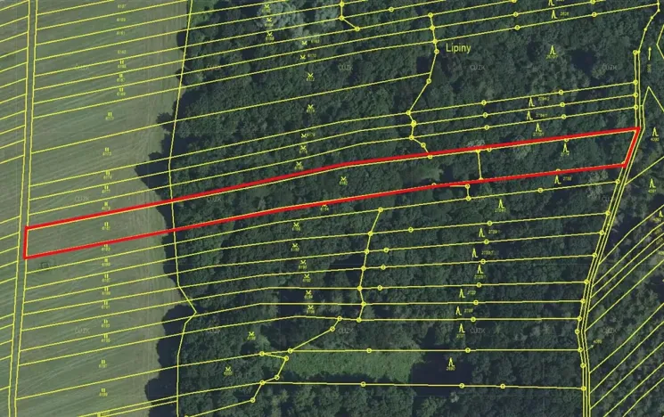 Prodej lesa, Horní Němčí, 4589 m2