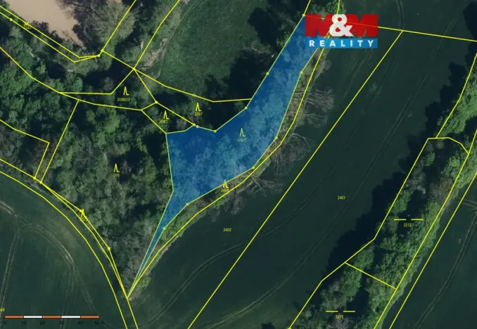 Prodej lesa, Ronov nad Doubravou, 2904 m2
