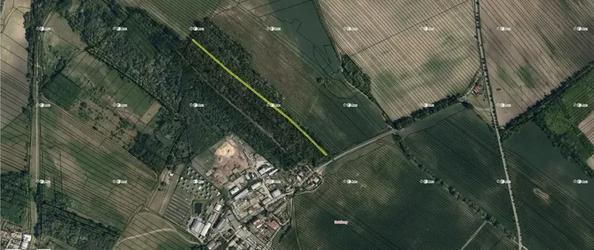 Prodej lesa, Dubňany, 5378 m2