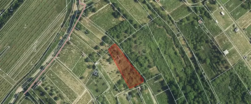 Pronájem zahrady, Hustopeče, 1387 m2