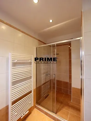 Pronájem bytu 2+1, Praha - Nové Město, Záhořanského, 124 m2