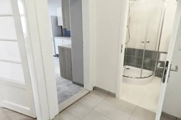 Pronájem bytu 2+kk, Praha - Žižkov, Fibichova, 60 m2