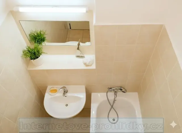 Pronájem pokoje, Praha - Břevnov, Bělohorská, 22 m2