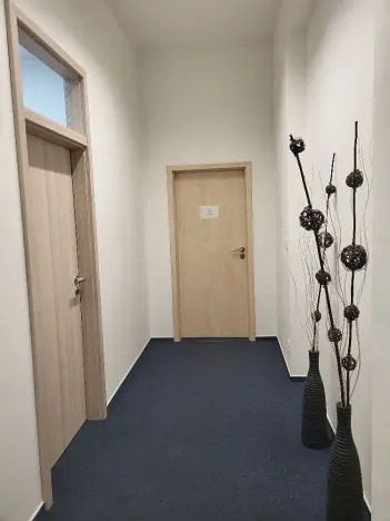 Pronájem kanceláře, Brno, Cejl, 21 m2