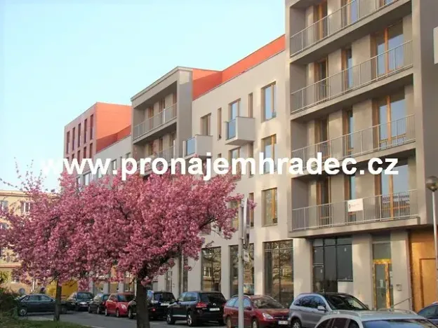 Pronájem bytu 2+kk, Hradec Králové, Kollárova, 56 m2