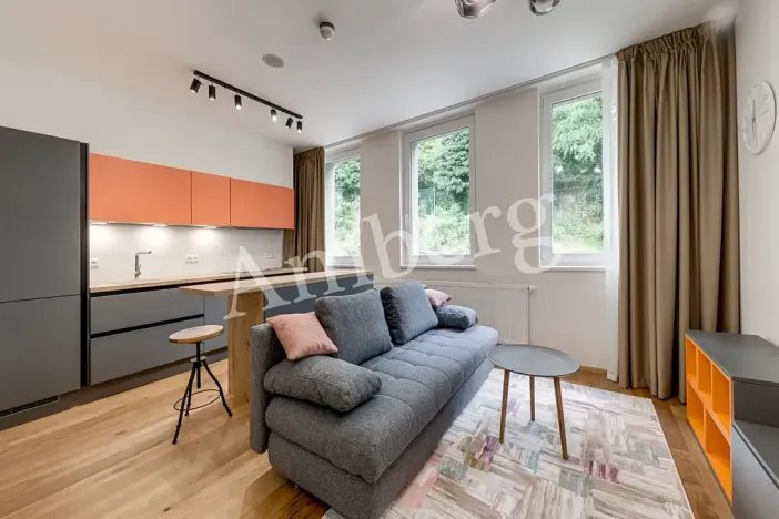 Pronájem bytu 1+kk, Praha - Vinohrady, Perucká, 26 m2